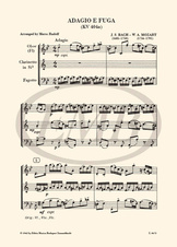 Z 3672_4.jpg